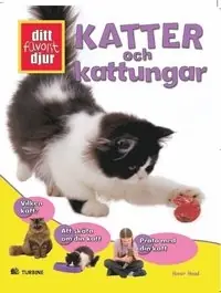 Katter och Kattungar